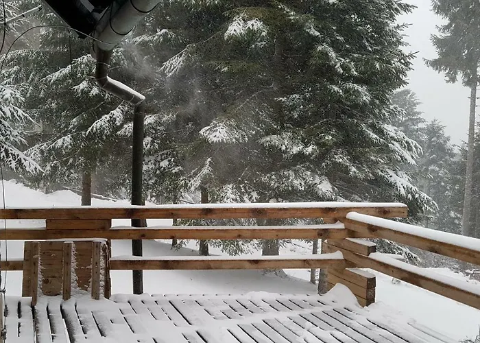 בקתה Rogla - Mojca Pokrajculja *