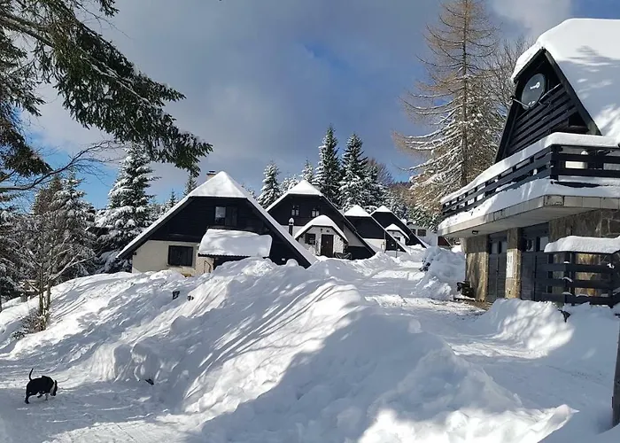 Rogla - Mojca Pokrajculja Chalet *