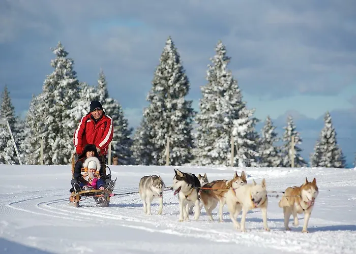 בקתה Rogla - Mojca Pokrajculja *