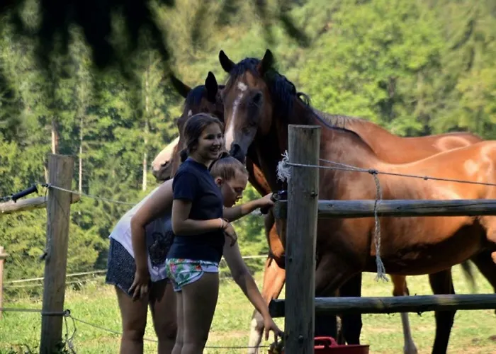 Chalet Rogla - Mojca Pokrajculja Zreče