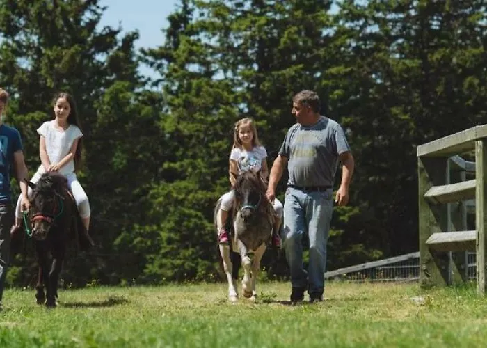 Rogla - Mojca Pokrajculja * Zreče