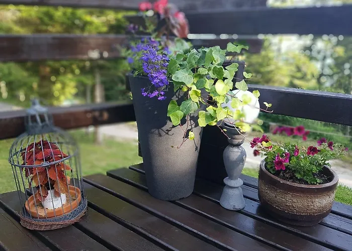 Rogla - Mojca Pokrajculja בקתה Zreče