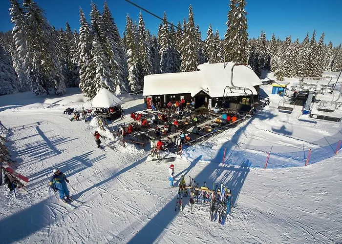 Chalet Rogla - Mojca Pokrajculja Zreče