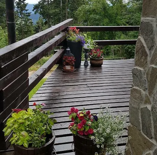 Chalet Rogla - Mojca Pokrajculja Zreče